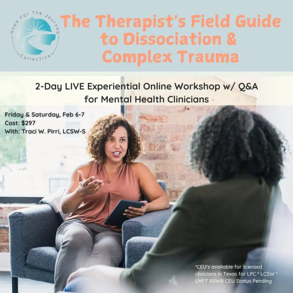 The Therapists Field Guide 1