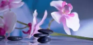 A serene spa setting with an orchid and reflection, symbolizing peace and healing through EMDR Therapy. Zip Codes: Austin area 78746, 78730, 78733, 78739, 78732, 78701, 78703. Round Rock area 78681, 78665, 78641, 78717, 78613.